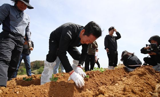 정청래, 통영 욕지도서 고구마 재배 민생현장 체험