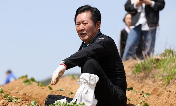 고구마 순 심고 휴식하는 정청래 대표