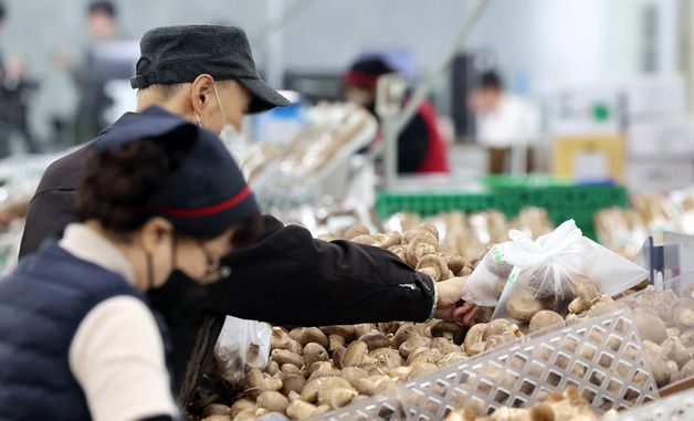 생산자물가 7개월 연속 상승… 농림수산품은 3.3% 하락