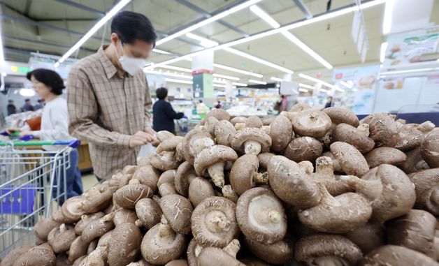 3월 생산자물가 1.6% 올라… 농림수산품은 3.3% 하락