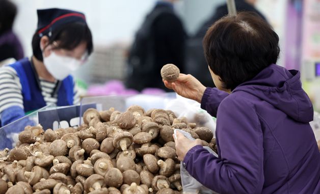 3월 생산자물가 1.6% 올라… 농림수산품은 3.3% 하락
