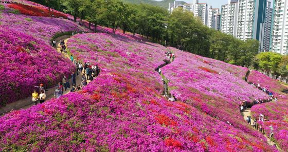 군포철쭉축제 찾은 시민들