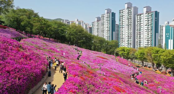 군포철쭉축제 찾은 시민들