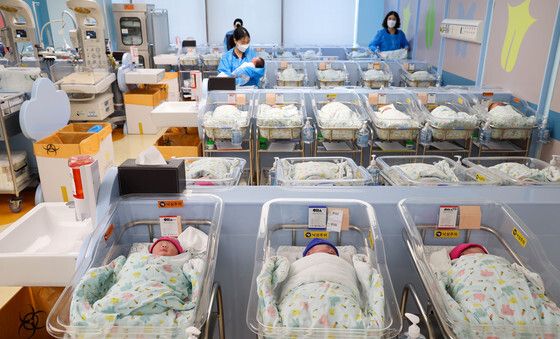 2월 출생아 2.2만명, 증가율 '역대 최대' 13.6%