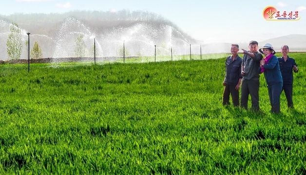 北, 재령군 농장서 가뭄 피해 최소화 총력전