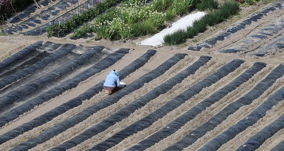 '비싼 비닐 덮었는데'