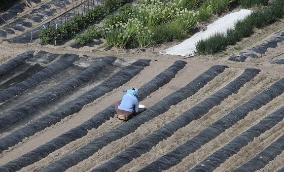 '올해 농사는 어찌 되려나'