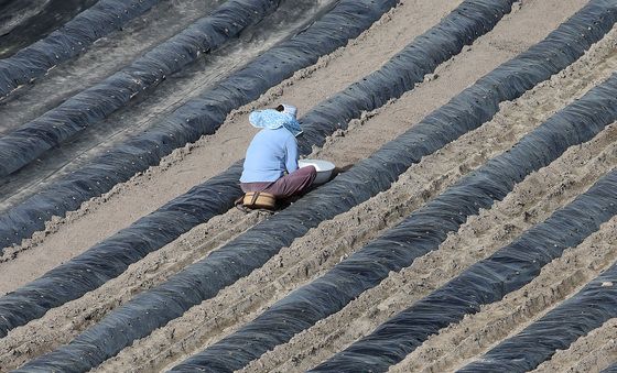 비닐값이 금값인데…