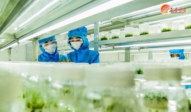 北 "산림자원 증대 총력"…산림연구원 조명