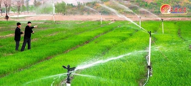 北 "가뭄 대응 총력"…신천군 근로자농장 과학농사 강조