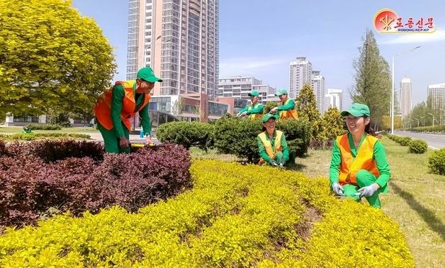 北 "꽃과 나무 어우러진 거리"…도시 미관 조성 부각