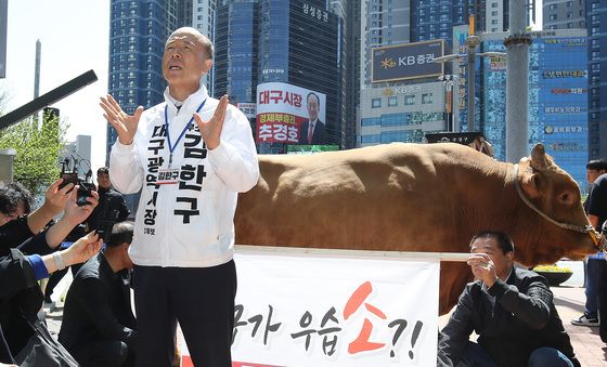 싸움소 앞에서 각오 밝히는 김한구 무소속 후보
