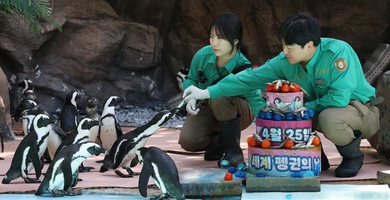 펭귄의 날 앞두고 특식 주는 주키퍼들