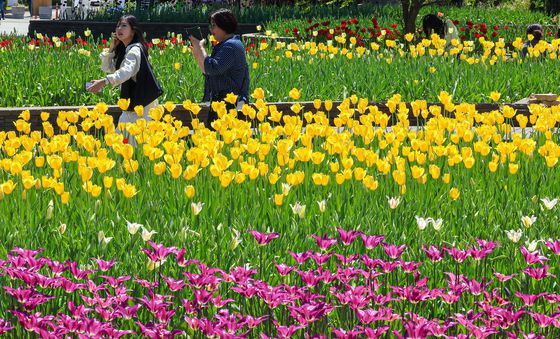 활짝 핀 1억 송이의 꽃들을 만나는 '2026 고양국제꽃박람회'