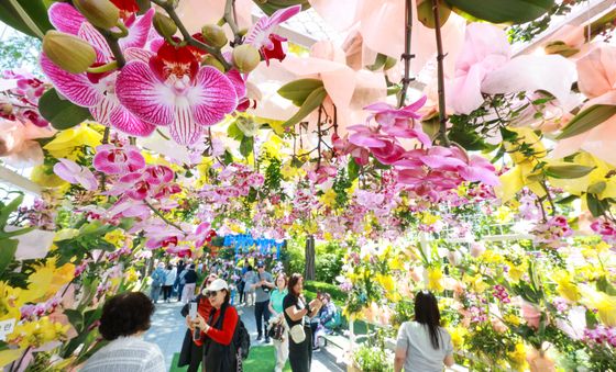 향기나는 꽃들로 만들어진 '꽃 터널'