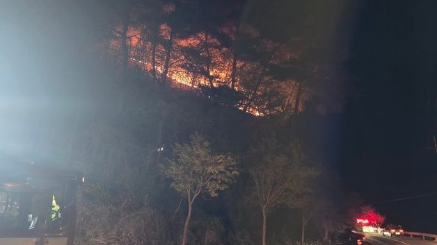 영월 무릉도원면 국유림서 산불