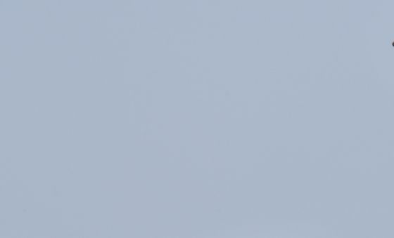 오늘은 양산이 필요한 날