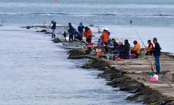 강태공들의 오후