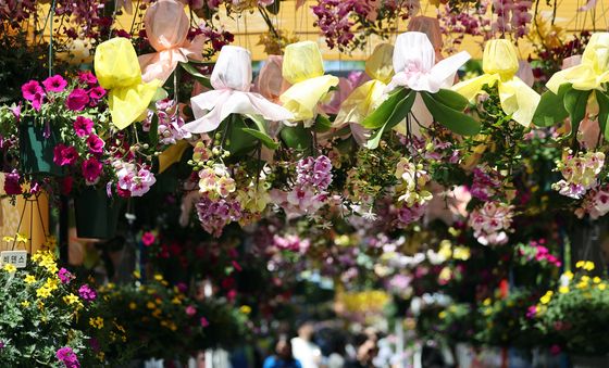 2026 고양국제꽃박람회 찾은 관람객들