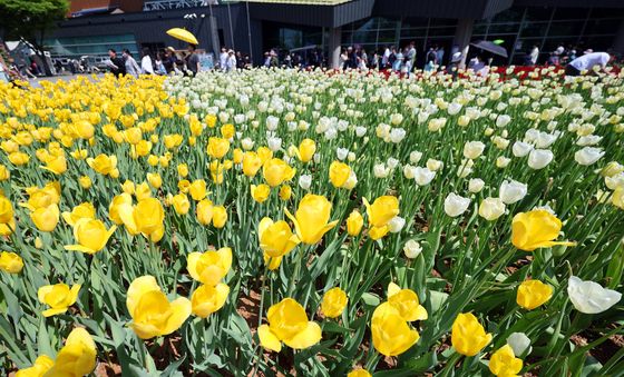 봄을 맞이하는 꽃