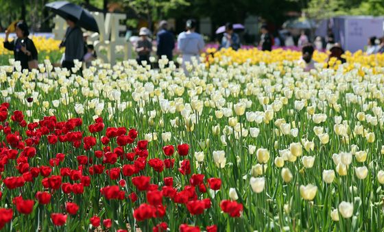 꽃 구경하는 관람객