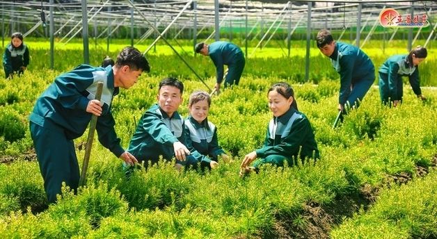 北 '제2차 산림복구사업' 진행…강원도양묘장 조명
