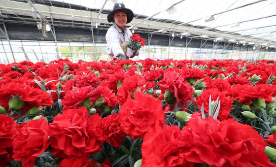 사흘 앞으로 다가온 가정의 달