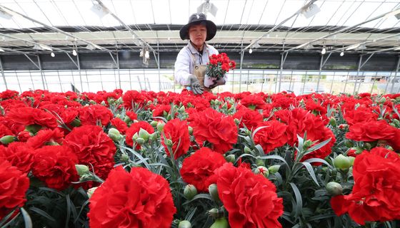 사흘 앞으로 다가온 가정의 달