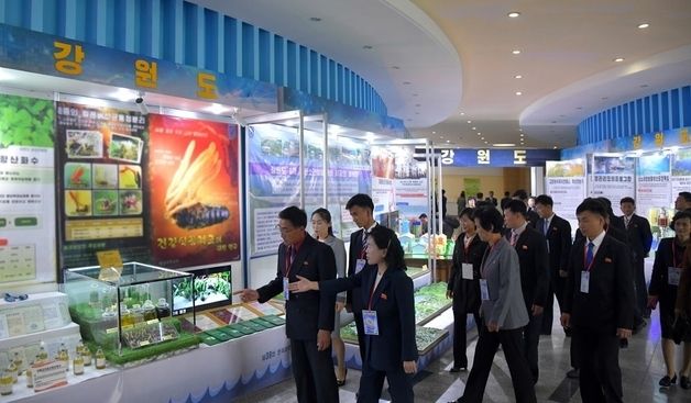 제39차 전국과학기술축전, 평양서 개막