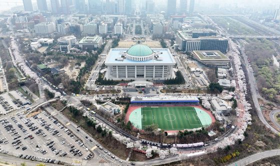 국회 감싼 벚꽃길