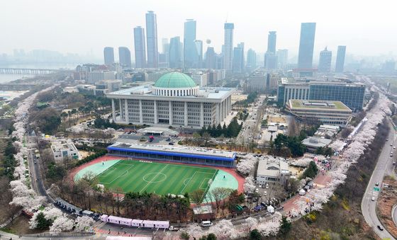 화려하게 피어난 여의도 봄꽃축제