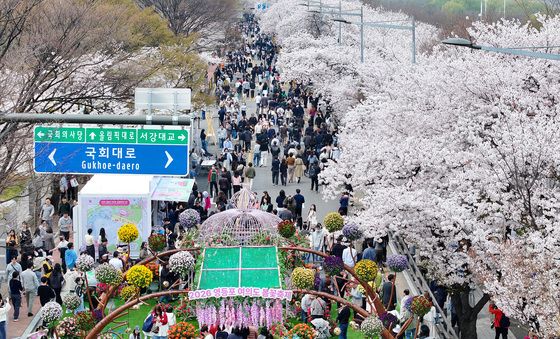 시민들로 북적이는 여의도 봄꽃축제