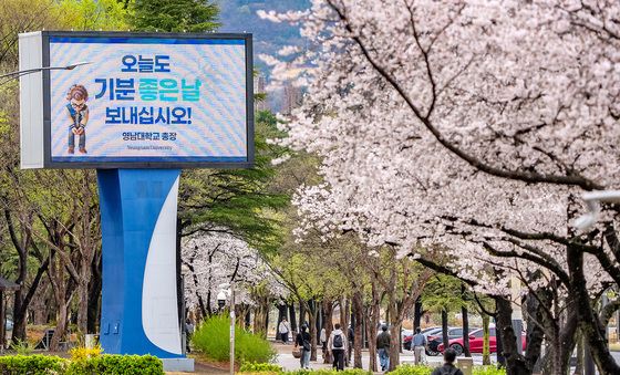 벚꽃과 함께 기분 좋은 날