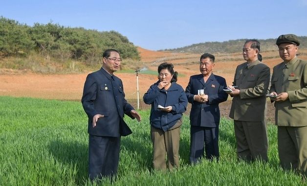 北 박태성 총리, 평안남도·황해남북도 농사 점검