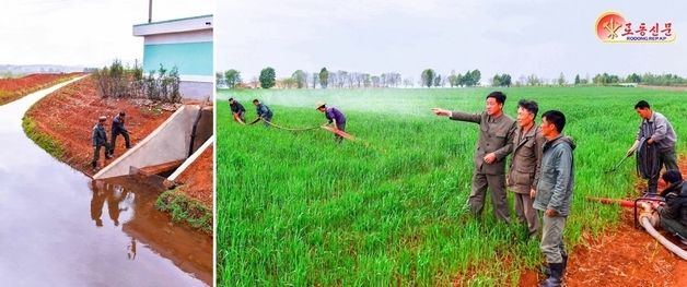北 봉산군, 농업 현장서 가뭄 대응 작업 실시