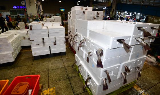 입하(立夏) 앞두고 잡힌 겨울 대표 생선 대구