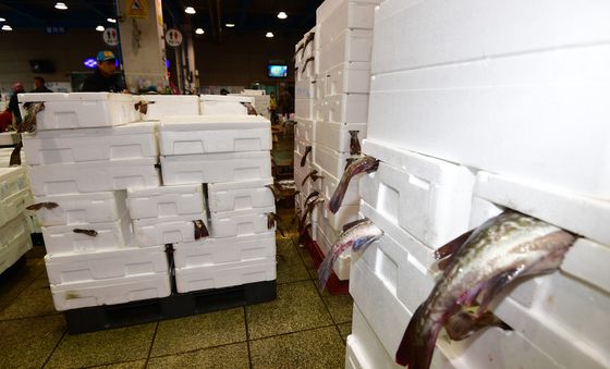 여름 앞두고 잡히는 '대구'