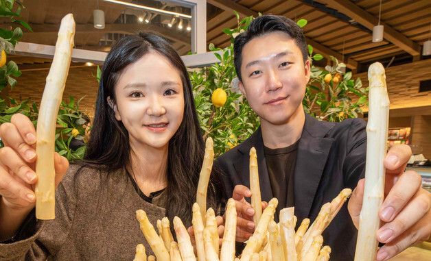 현대백화점, 프랑스산 '화이트 아스파라거스' 한정 판매