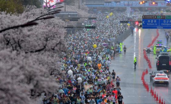 제33회 경주벚꽃마라톤 출발