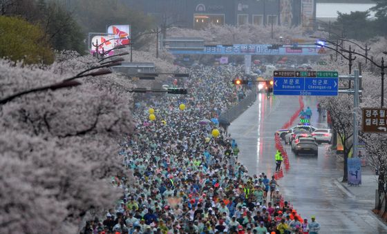 모두가 즐거운 경주벚꽃마라톤