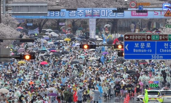 경주벚꽃마라톤 출발