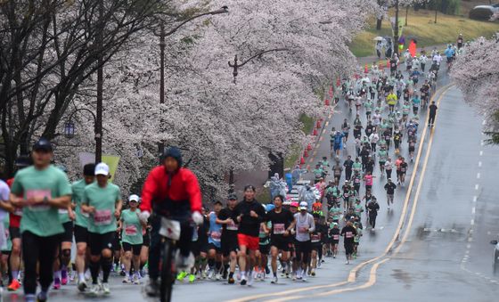 벚꽃보고 달리는 마라토너