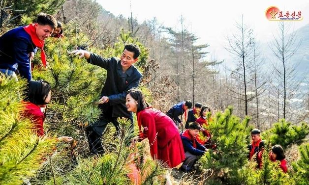 北 "애국심의 열도만큼 나라의 산림이 무성"…애국심 독려