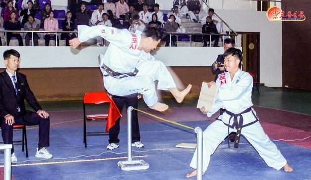 북한 "'전국도대항군중체육대회 2026' 연일 성황리 진행"