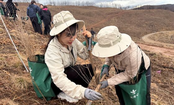 SKT-유한킴벌리, 안동 산불 피해 복원에 맞손