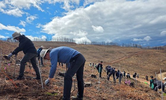 SKT-유한킴벌리, 안동 산불 피해 복원에 맞손