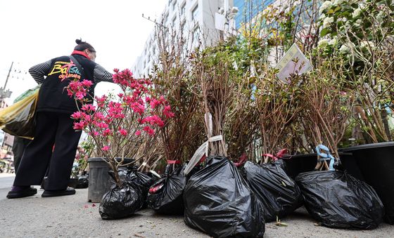 “나도 한 그루 심어볼까”