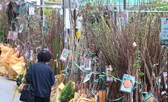 “나도 한 그루 심어볼까”