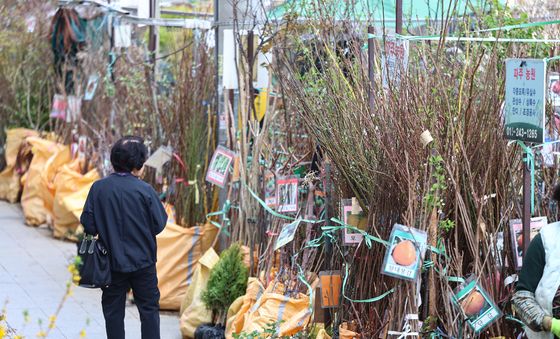 “나도 한 그루 심어볼까”