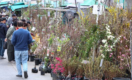 어떤 나무 심어 볼까?